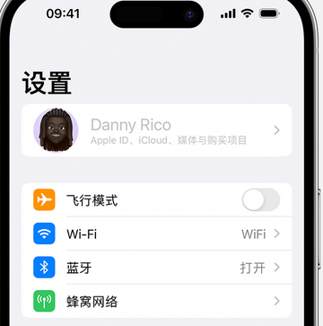 仁和appleID维修服务iPhone设置中Apple ID显示为灰色无法使用 