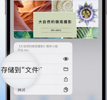 仁和apple维修中心分享iPhone文件应用中存储和找到下载文件