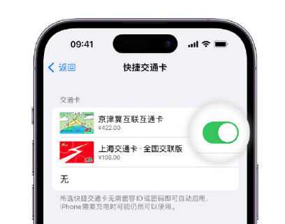 仁和apple维修点分享iPhone上更换Apple Pay快捷交通卡手绘卡面 