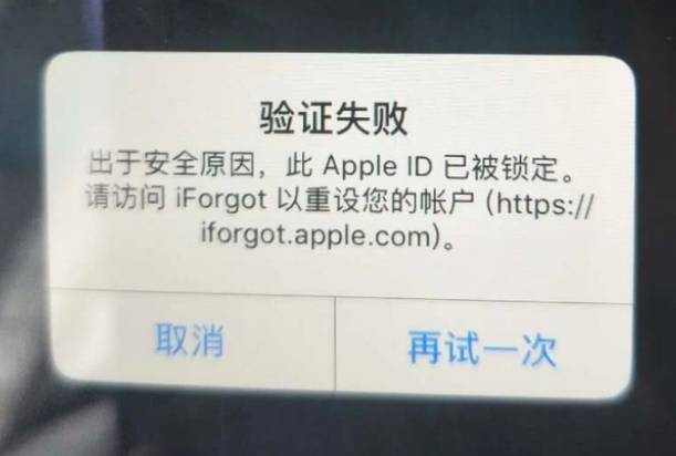 仁和iPhone维修分享iPhone上正常登录或使用AppleID怎么办 