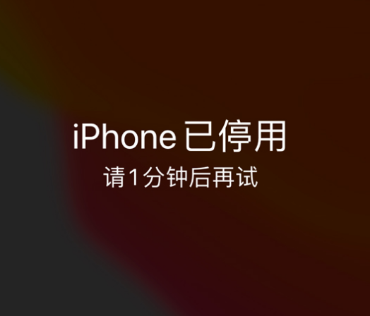 仁和苹果手机维修分享:iPhone 显示“不可用”或“已停用”怎么办？还能保留数据吗？ 