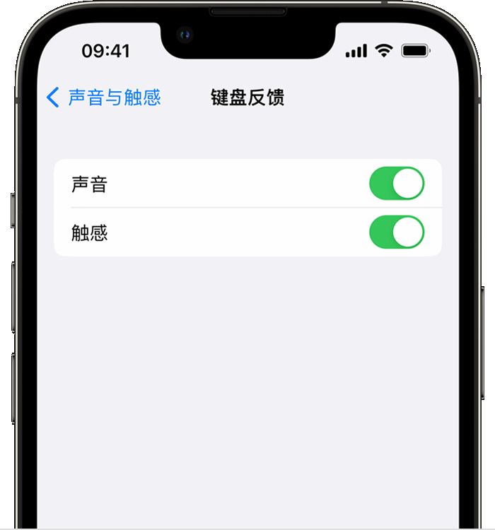 仁和苹果14维修店分享如何在 iPhone 14 机型中使用触感键盘 