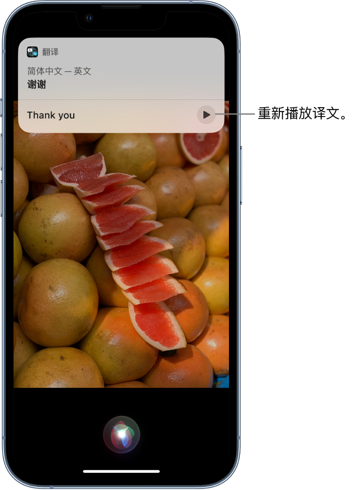 仁和苹果14维修分享 iPhone 14 机型中使用 Siri：了解 Siri 能帮你做什么 