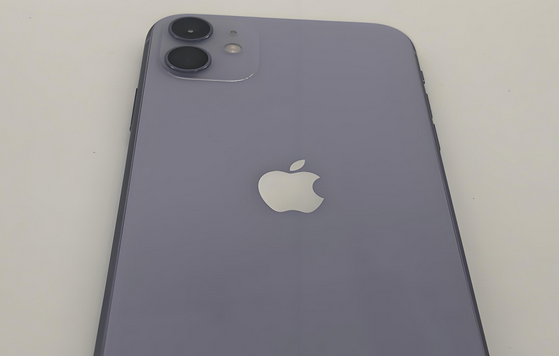 仁和苹果11系统维修分享iPhone11手机系统崩溃无法开机如何解决